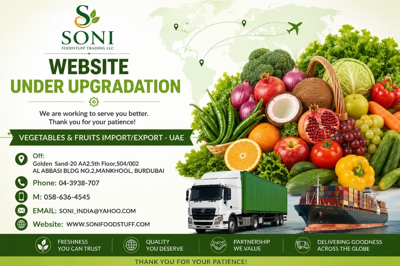 Soni Foodstuff Promotional Flyer